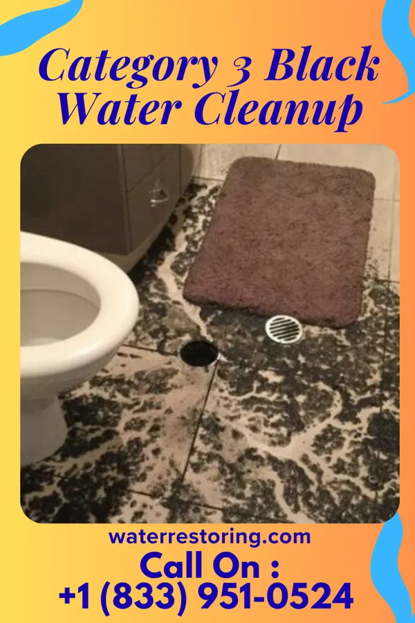 Category 3 Black Water Cleanup in Royalton, PA