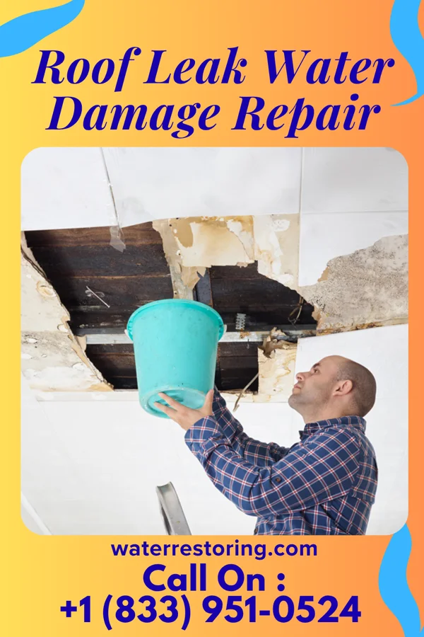 Roof Leak Water Damage Repair in Royalton, PA