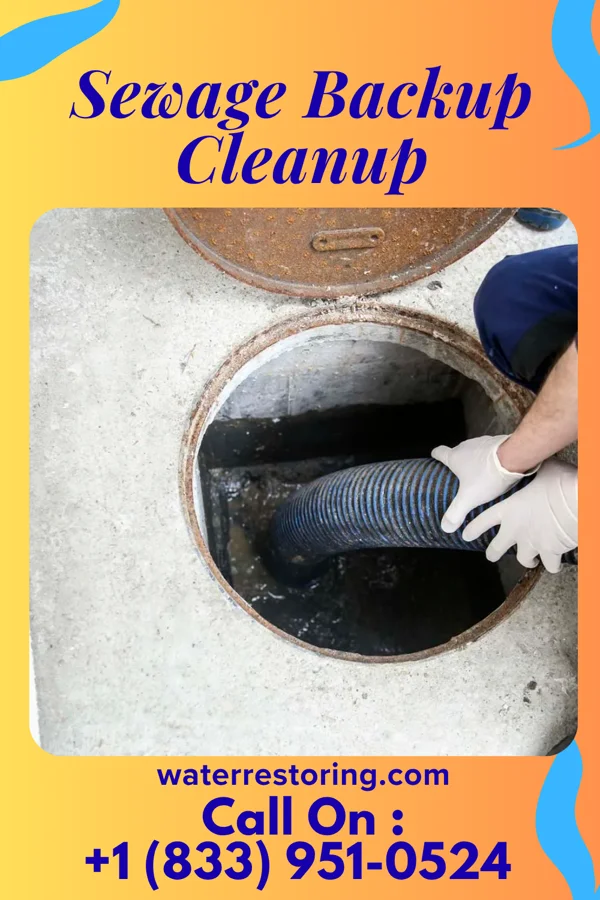 Sewage Backup Cleanup in Royalton, PA