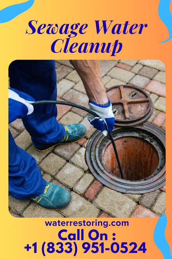 Sewage Water Cleanup in Royalton, PA